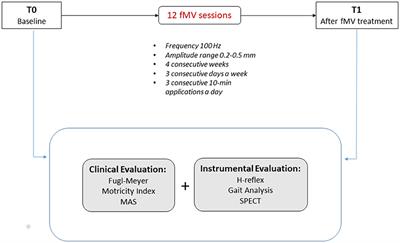 Motor Recovery After Stroke: From a Vespa Scooter Ride Over the Roman Sampietrini to Focal Muscle Vibration (fMV) Treatment. A 99mTc-HMPAO SPECT and Neurophysiological Case Study